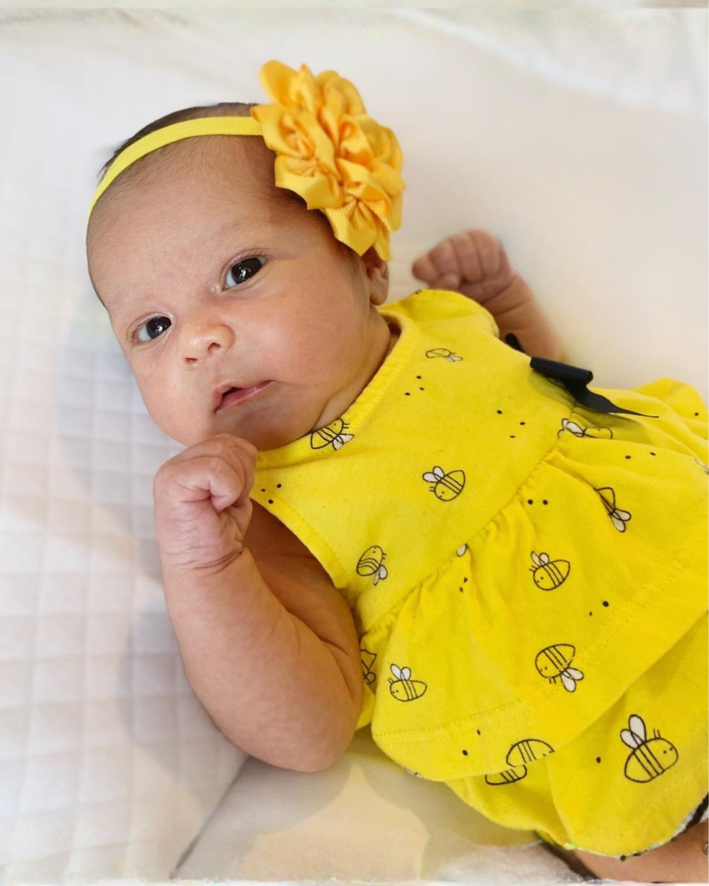 Rose Flower Baby Headband – Soft Elastic Band with Handmade Ribbon Flower