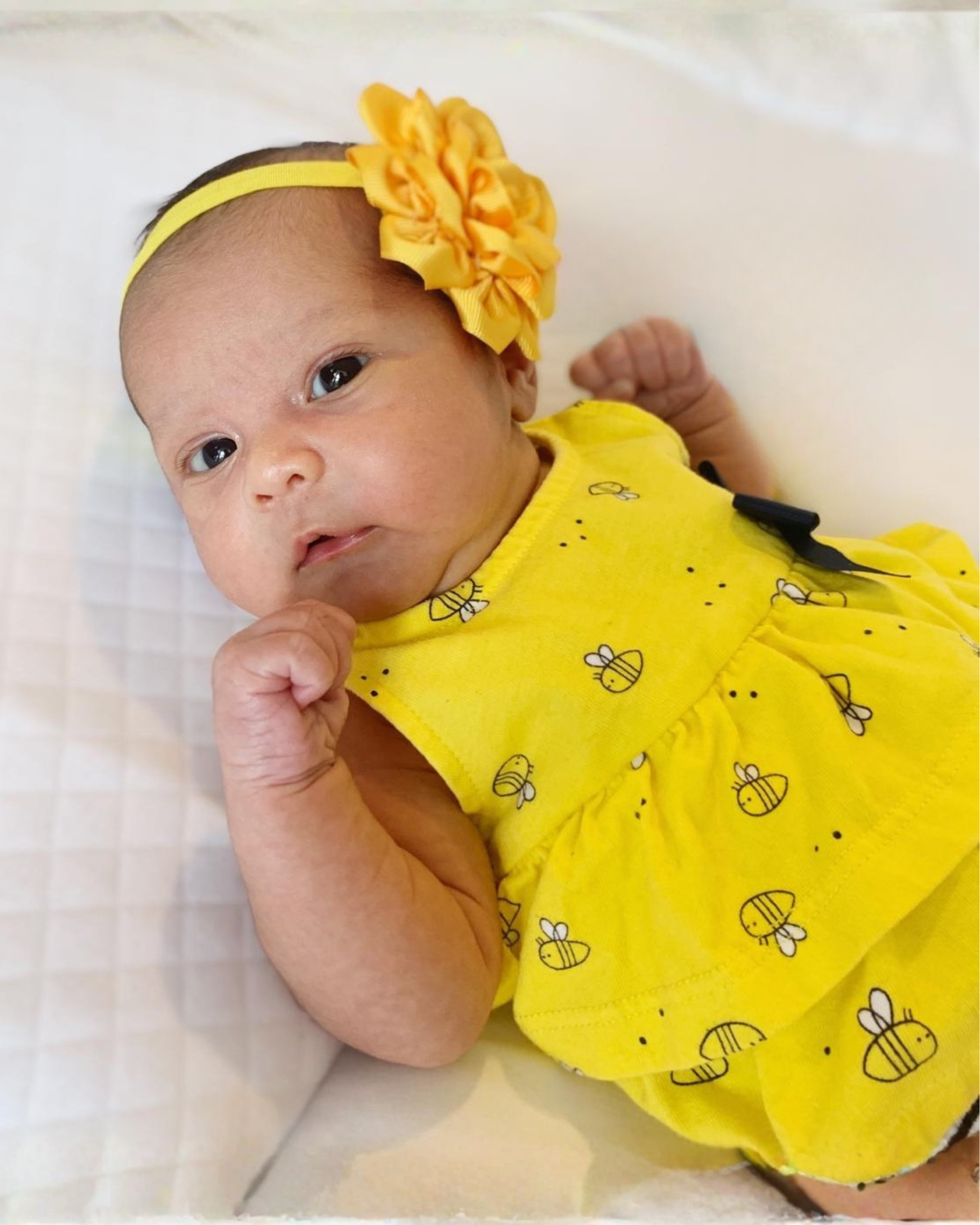 Rose Flower Baby Headband – Soft Elastic Band with Handmade Ribbon Flower